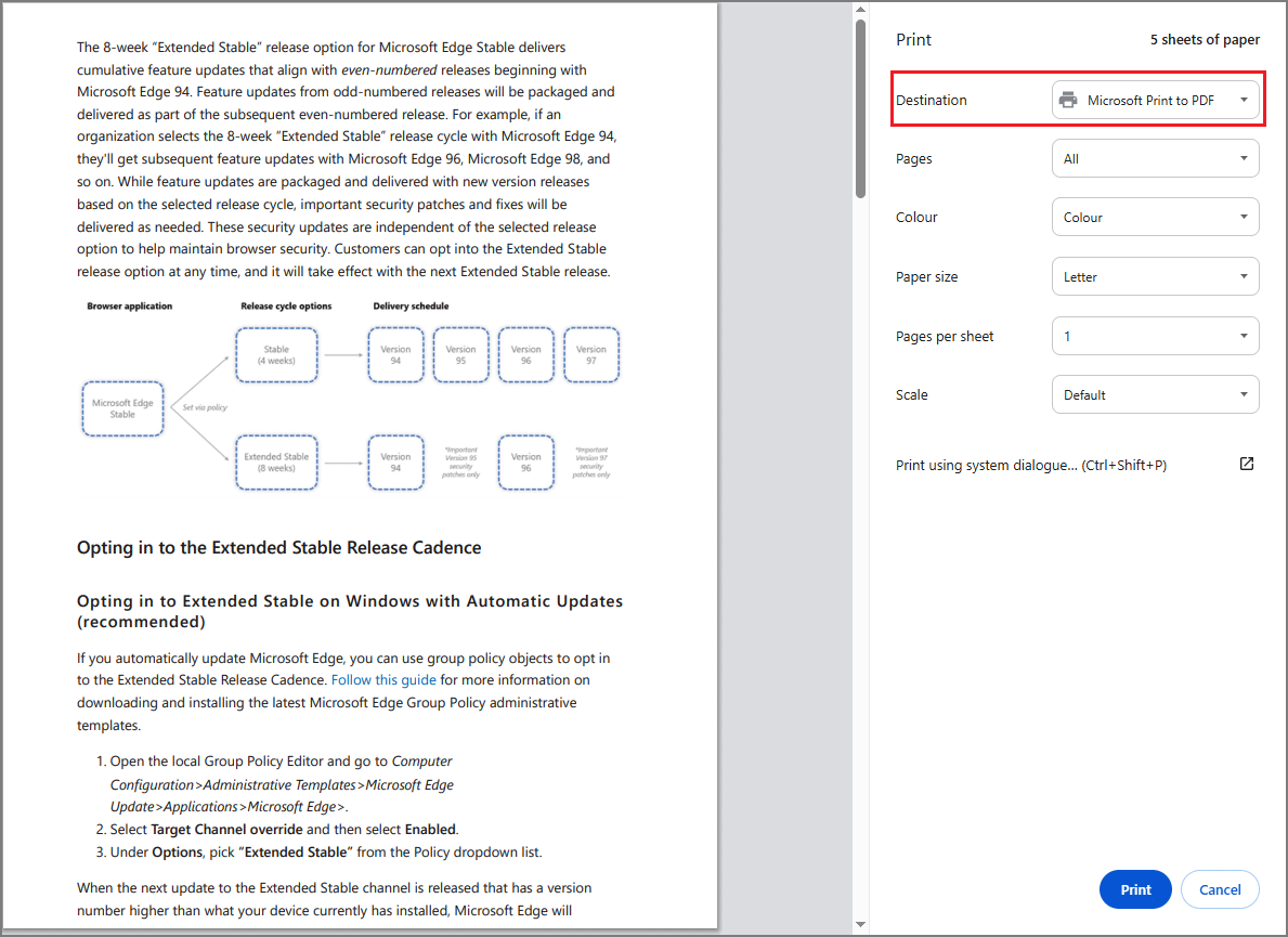 screenshot showing printing settings in Google Chrome