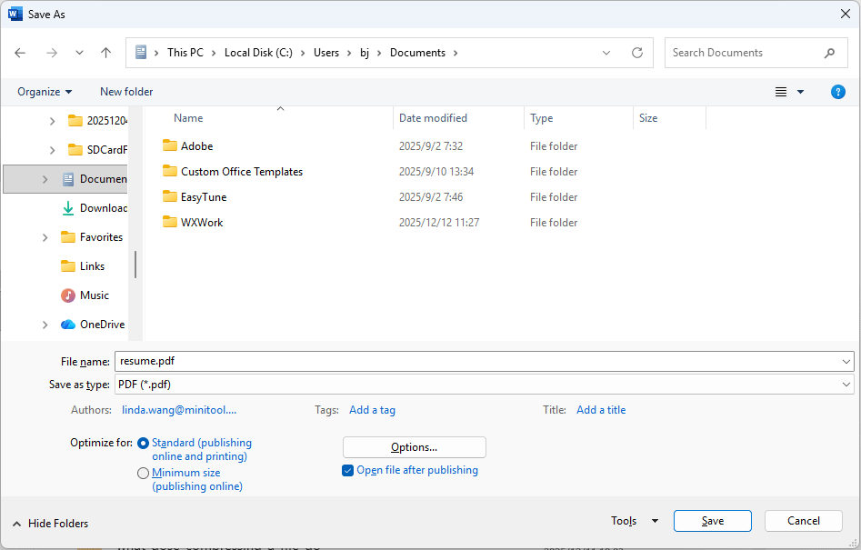 Microsoft Word Save As window with the selected PDF file format.