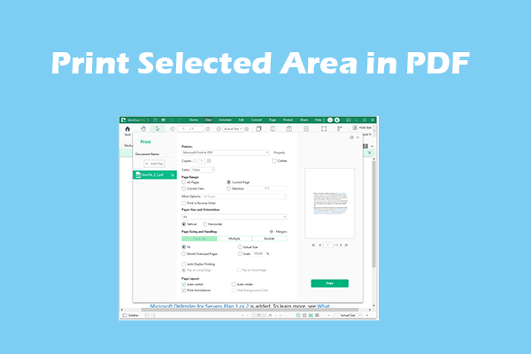 3 Methods to Print a Selected Area in PDF