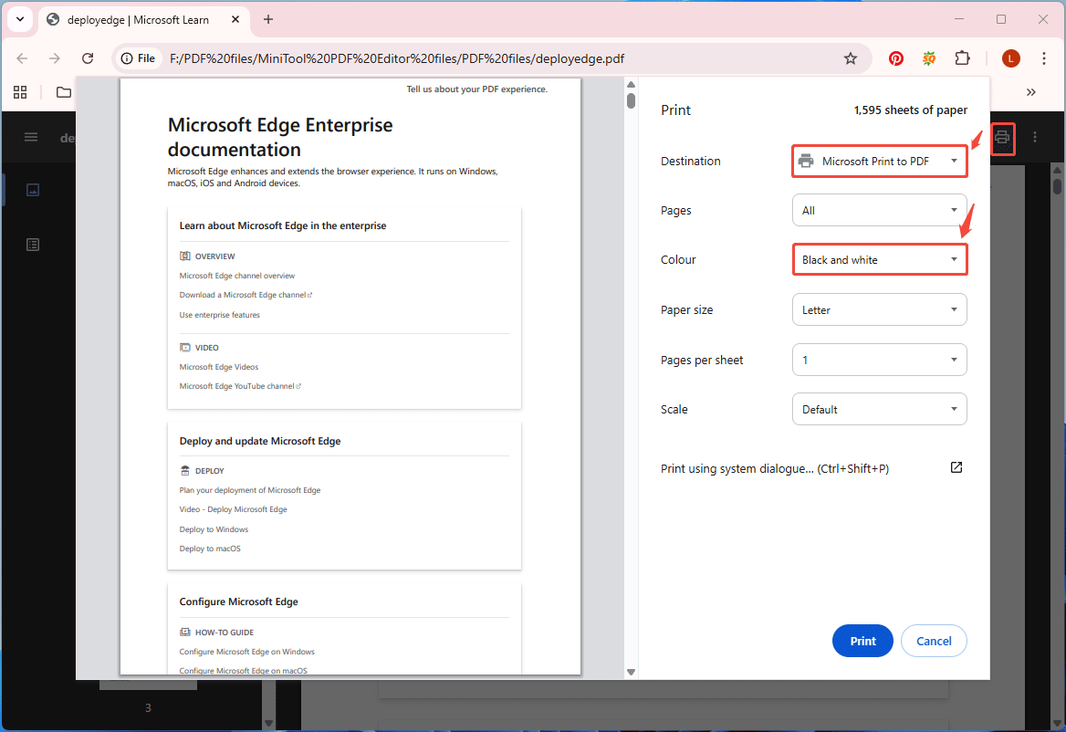 The Google Chrome interface with the Print window, in which Black and white colour is selected.