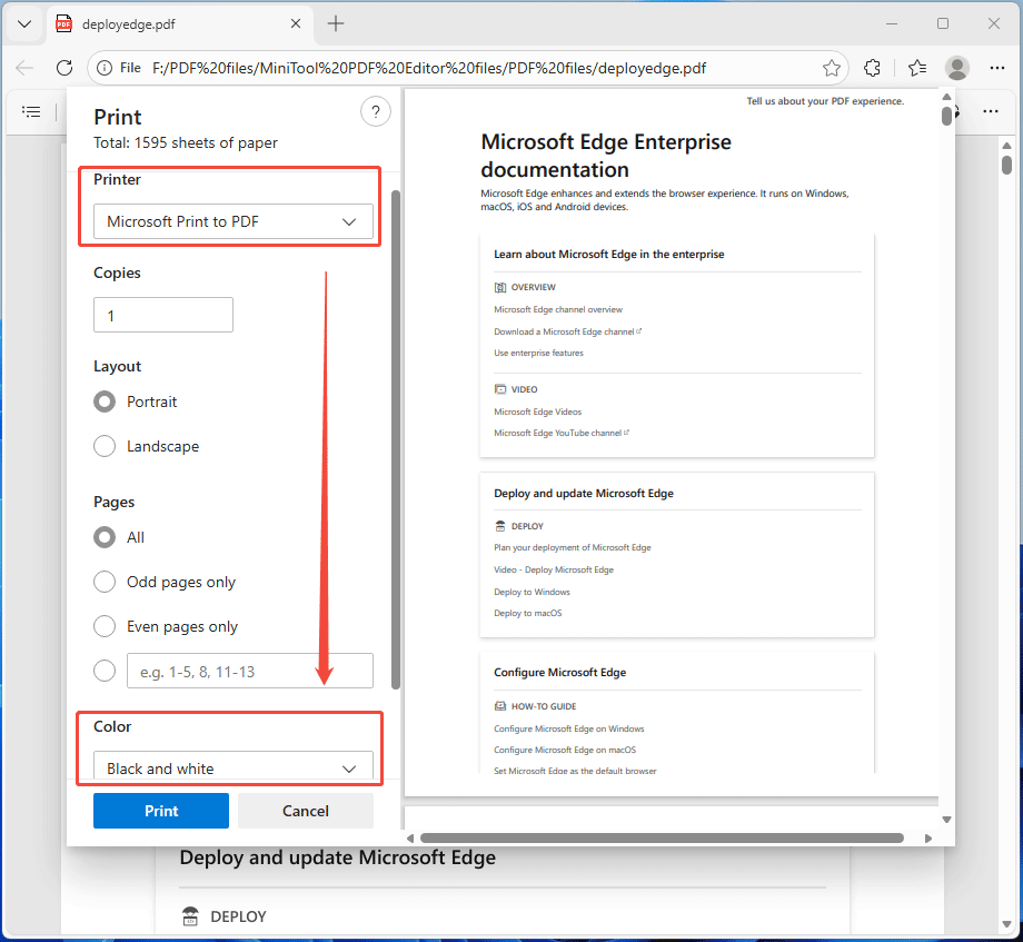The Print window in the Microsoft Edge interface with the selected Black and white color.