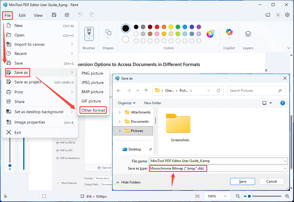 The Paint interface with the Save as window and the selected Monochrome Bitmap type.