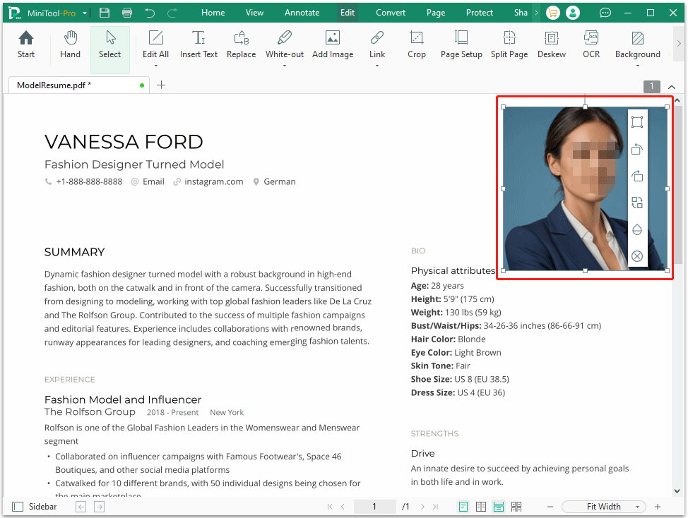 The photo with some settings selected in the MiniTool PDF Editor interface.