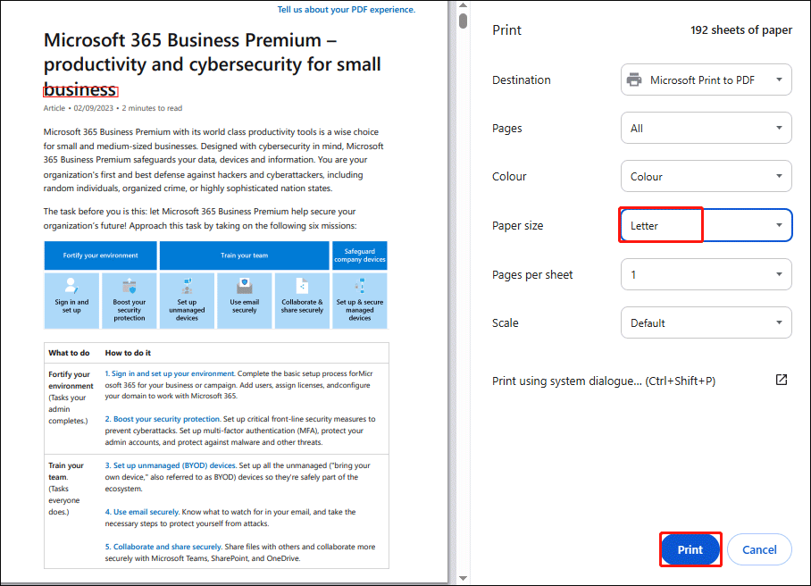 The Google Chrome Print window with the Letter and Print options selected.