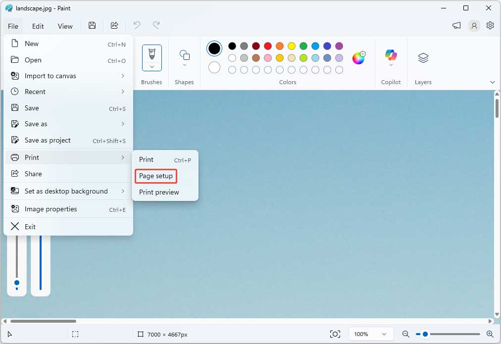 Microsoft Paint interface with the selected Print Page setup feature.