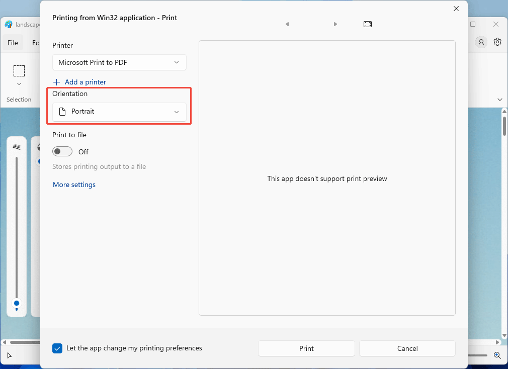 Microsoft Paint interface with the Print window.