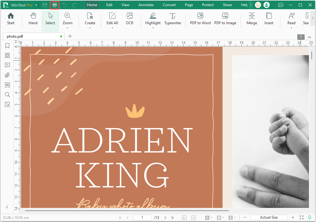 MiniTool PDF Editor interface with the selected print feature.