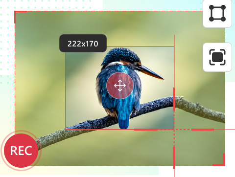 Powerful & Quick Screen Recording