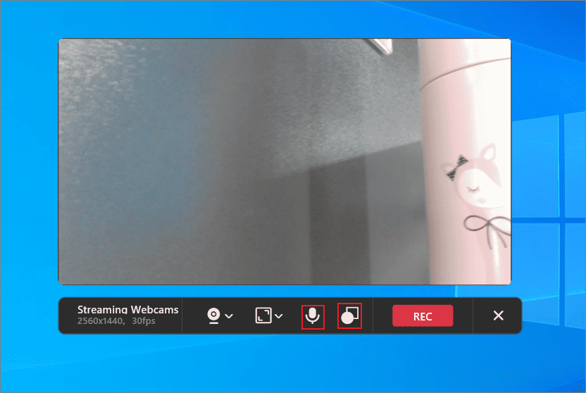 MiniTool Screen Recorderの「マイク」と形状切り替えアイコンが選択されている様子