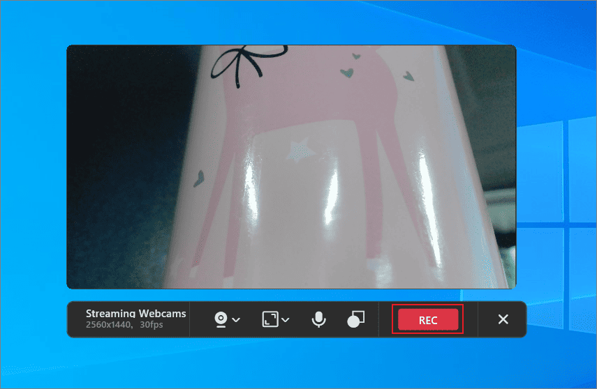 MiniTool Screen Recorderの「REC」ボタンが選択されている様子
