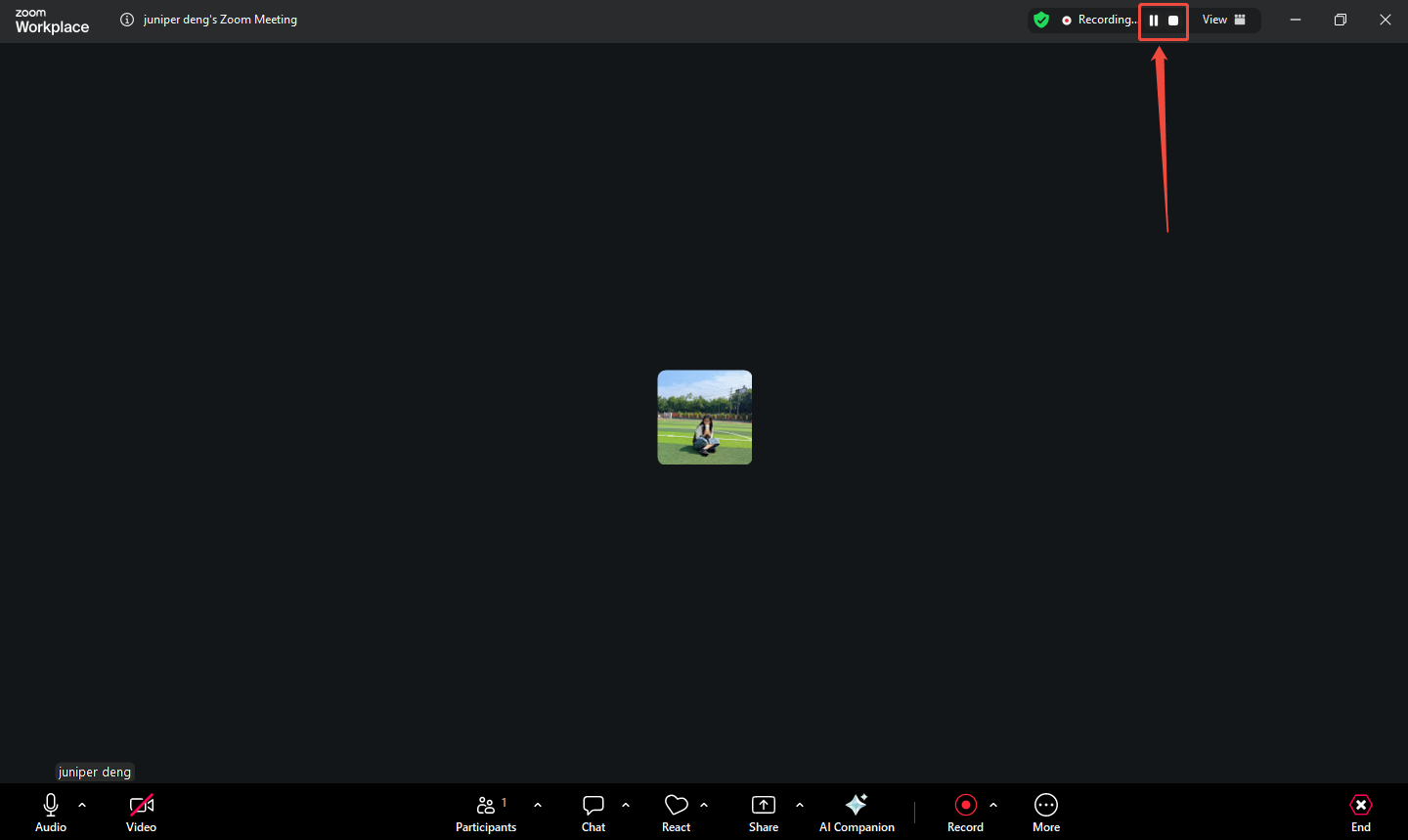 Zoom Meeting interface with the Pause icon and the Stop icon selected.