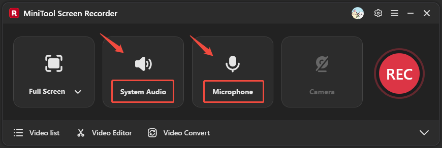 MiniTool Screen Recorder interface with the System Audio option and Microphone option selected.