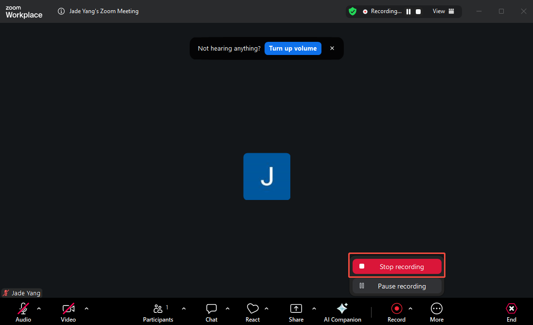 Zoom meeting interface with the Stop recording option selected.