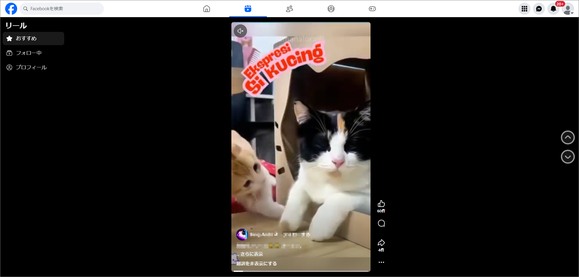 PC版Facebook Reelsの画面