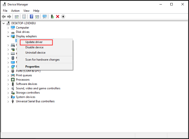 Windows Device Manager window with the Update driver option selected in the context menu of the graphics driver.