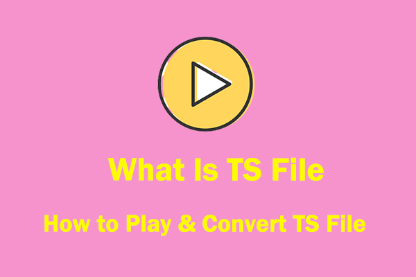 TS File: What Is TS File & How to Play & Convert TS Files