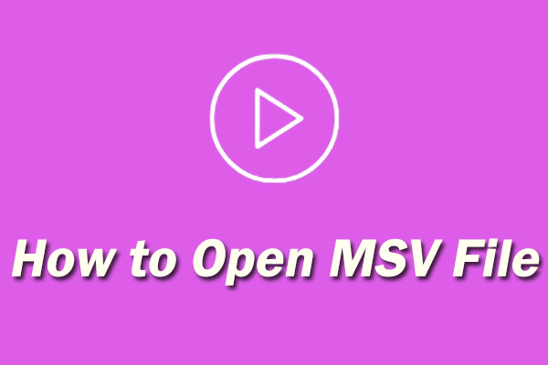 What Is an MSV File & How to Open MSV File