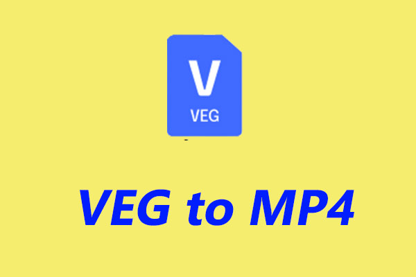 VEG ファイルとは？VEGをMP4 に変換する方法