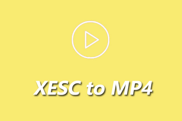 XESC ファイルとは？MP4 に変換する方法は？