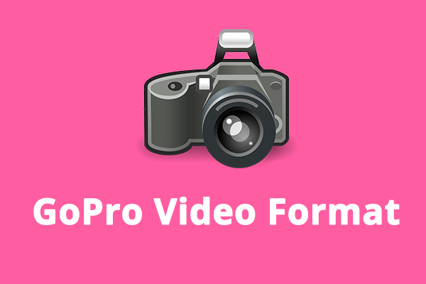 GoPro動画形式とは？GoPro動画ファイルを変換する方法
