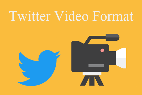[Answered] What Video Format Does Twitter Support? MP4 or MOV?