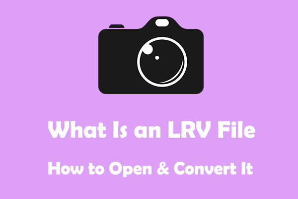 Was ist eine LRV-Datei und wie öffnet und konvertiert man sie