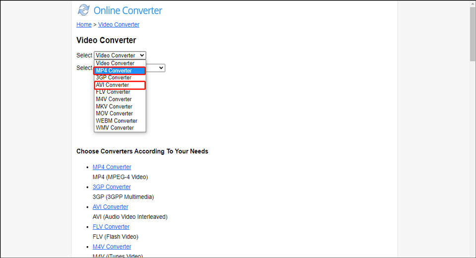 interface of Online Converter