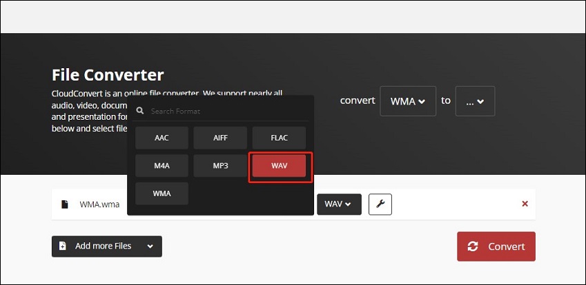 choose the WMV format