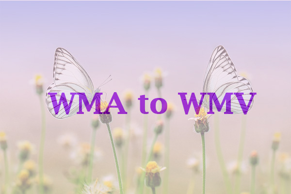 How to Convert WMA to WMV? 6 Best Converters for You