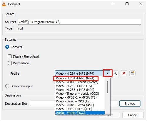 choose MP4 as the output format