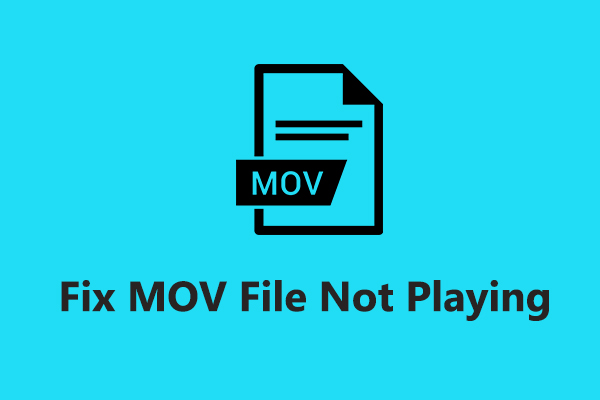 How to Fix MOV File Won’t Play on Windows and Mac