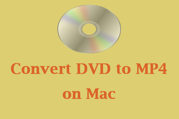 4 Effective Ways to Convert DVD to MP4 on Mac [Detailed Guidance]