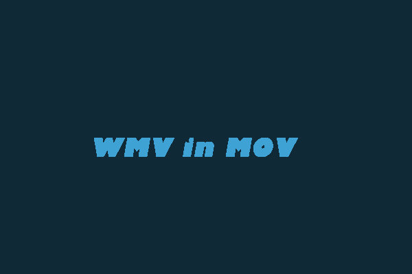 Die 8 besten Wege zur Umwandlung von WMV in MOV und umgekehrt
