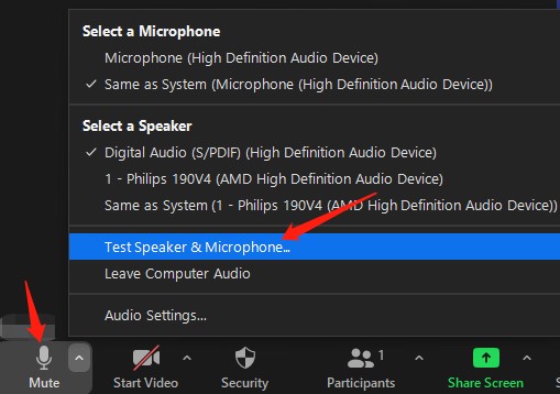 click Test Speaker & Microphone