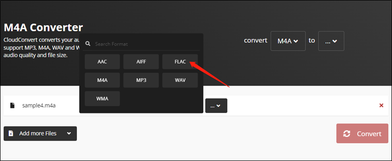 choose the target output format