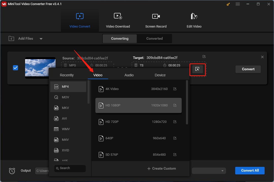 choose the output format