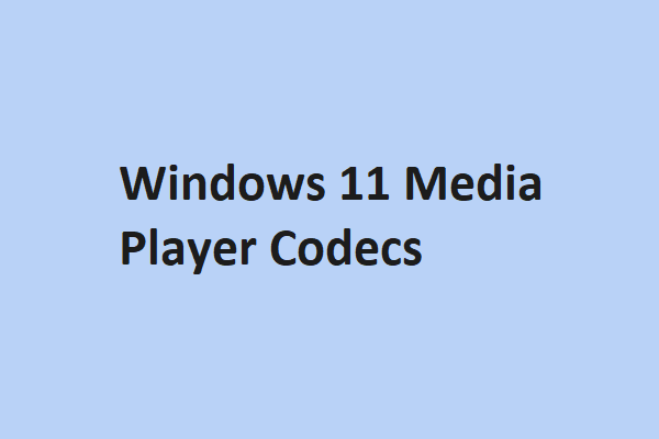 Windows 10/11 Codecs Formate & Konvertieren nicht unterstützter Formate