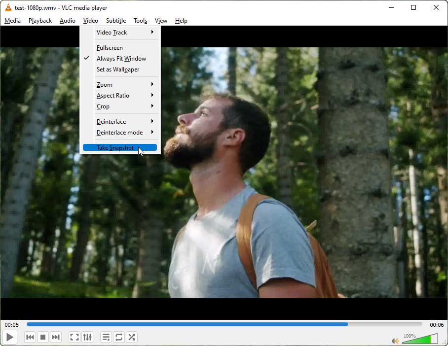 take a snapshot of the WMV file in VLC