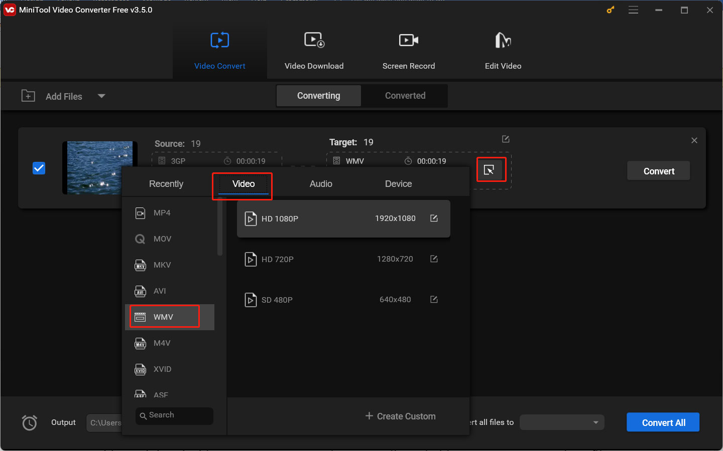 choose the target output format