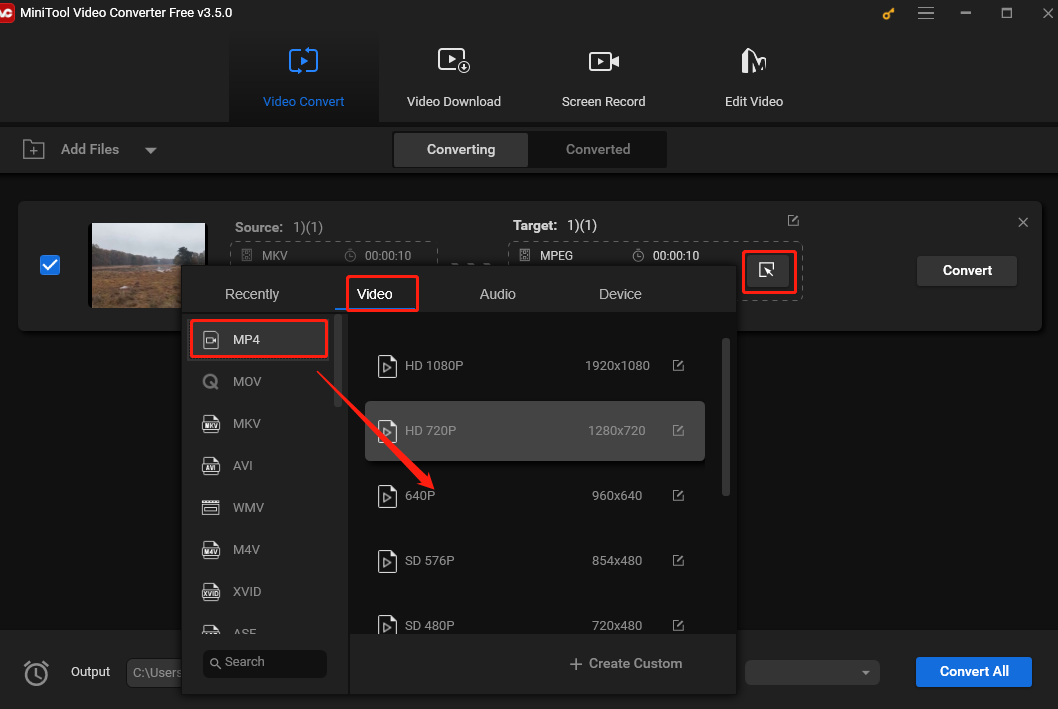 choose MP4/MOV as the output format