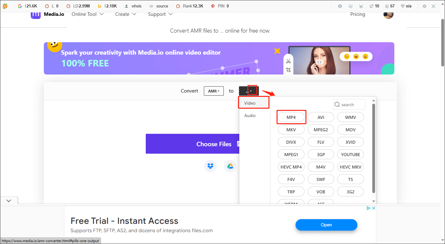 Choose MP4 as the Output Format