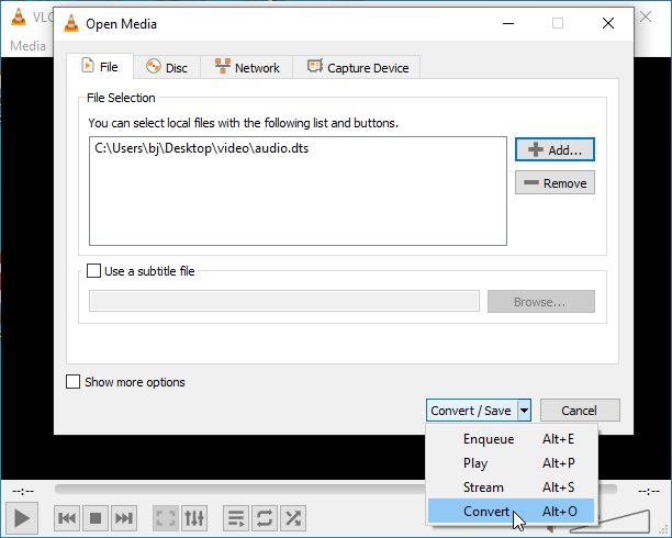 add the DTS file and click Convert