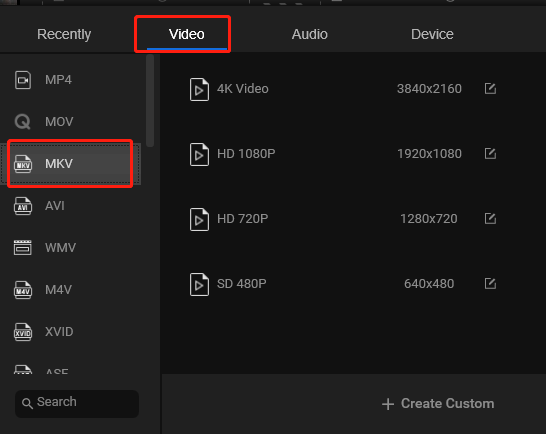 choose MKV as the output format