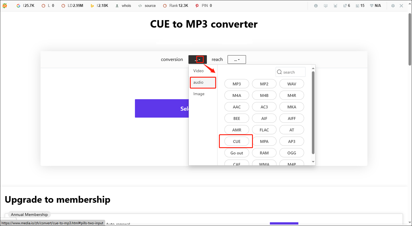 Choose CUE as the Input Format