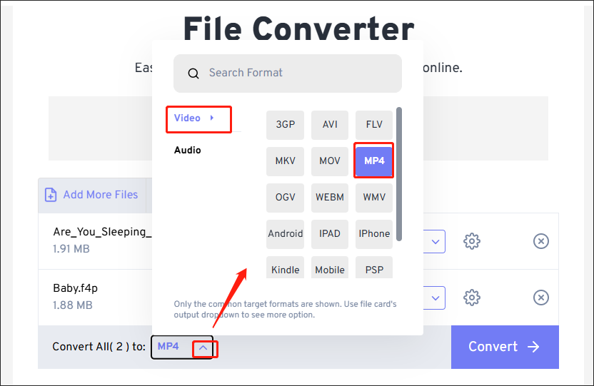 Choose MP4 as the Output Format