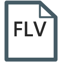 The FLV Format