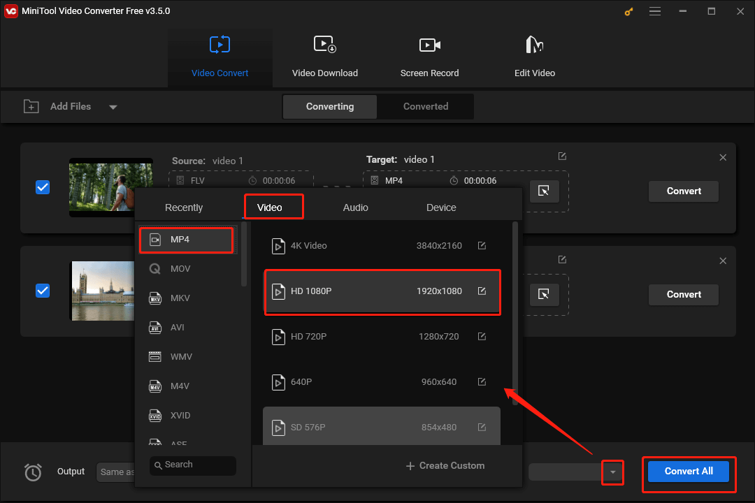 Choose the Output Format and Start the Conversion