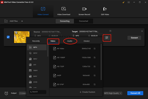 choose the output format