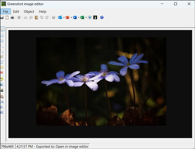 image editor of Greenshot