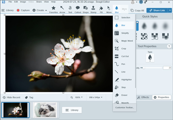 image editor of Snagit